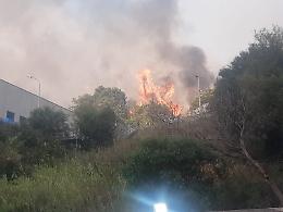 Incendio sulla Panoramica lambisce l'impianto selezione di Pace