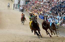 Palio Siena: assegnati cavalli,sorte bacia Pantera e Istrice