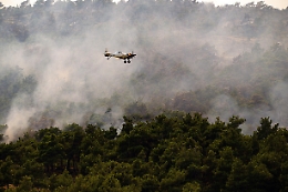 Grecia: lotta contro le fiamme a Lesbo, ancora roghi al nord
