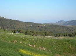 A Bosco Scorace sentieri per disabili e ipovedenti