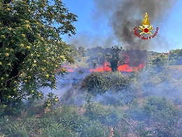 Incendi in mezza Sicilia: lavoro incessante per vigili del fuoco