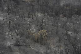 Algeria: sale il bilancio degli incendi, 31 i morti
