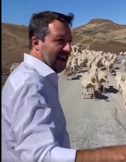 Salvini in Sicilia "bloccato" da un gregge di pecore: &laquo;Diamo precedenza alle "ragazze"&raquo;