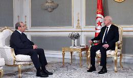 Tunisia: Saied,'opposizioni complottano con contrabbandieri'
