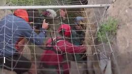 Per 500 giorni da sola in una caverna: la storia di Beatriz Flamini