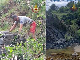 Billy non ce l'ha fatta, trovato morto lo Yorkshire fuggito da casa