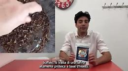 Farina di grillo (e di vermi), abbiamo provato alcune ricette