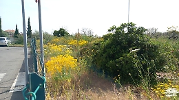 San Nullo: spazi verdi nel degrado e marciapiedi impraticabili in via Alan Turing