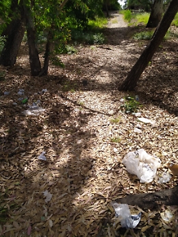 Marina di Cottone: &laquo;L'unica cosa che funziona sono gli stalli a pagamento!&raquo;