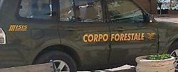 Morto l'operaio forestale caduto in un burrone tre settimane fa