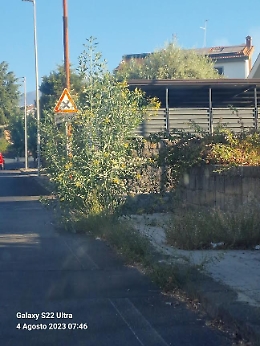 A Trecastagni la natura è «protetta»