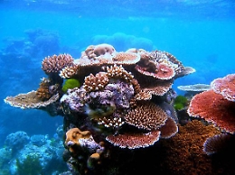 Pnrr, 400 milioni di interventi per gli ecosistemi marini