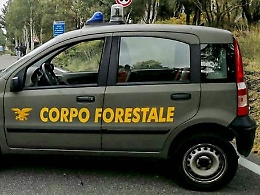 Un'autobotte della forestale si ribalta a Ragusa: muore una dipendente. Il cordoglio di Schifani