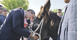 Ambelia, grandeur e oblio del sito nel cuore di Musumeci