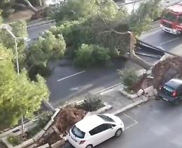 Natale di gelo in Sicilia con vento fortissimo a Palermo e neve nell'Ennese
