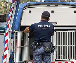 Cocaina nascosta in una tappezzeria a San Cristoforo: arrestato un 24enne