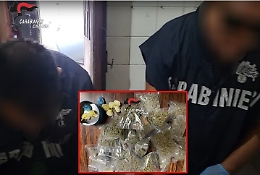 Gestisce un centro logistico della droga a 65 anni: arrestata una donna 