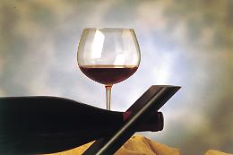 D’Inchiostro e di vino — seconda edizione: parole, vini e storie da gustare