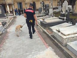 Gravi carenze igienico-sanitarie: sequestrate aree del cimitero comunale di Aci Catena 