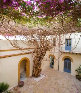 Una pianta, una storia: la Bougainvillea dei Planeta a Menfi tra gli alberi monumentali d'Italia