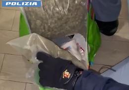 Catania, sequestrati oltre un chilo e mezzo di droga: arrestato 23enne grazie ai cani-poliziotto “Maui” e “Ares”