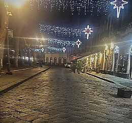 Castello Ursino, sotto l'albero le polemiche sulla pedonalizzazione. I commercianti: &laquo;Si riapra la strada, il sindaco ci incontri&raquo;