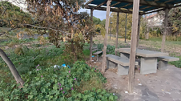 Il parco di via degli Ulivi: un polmone verde dimenticato a Tremestieri Etneo