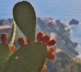 Taormina: poesia tra l'Etna innevato e il Santuario della Madonna della Rocca
