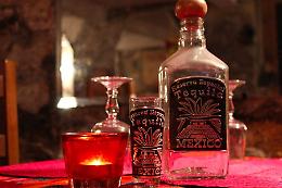 Tequila, cresce il mercato in Italia: importazioni in aumento e boom dei prodotti premium