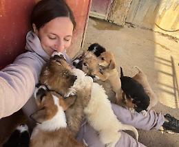 Oasi Ohana sfida la Regione: "Non diventeremo un lager di cemento. Pronti a tutto per i nostri cani"