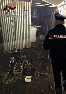 Faceva da "palo" a due complici durante un furto in una campagna: arrestato 