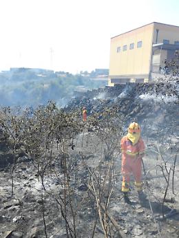 Rogo doloso a Piano Tavola: fiamme dominate dopo i lanci degli elicotteri