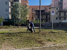Giarre: ripulito dalle erbacce il parcheggio di via Teatro