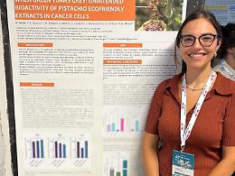 Dai pistacchi di Bronte un integratore altamente energetico e antiossidante