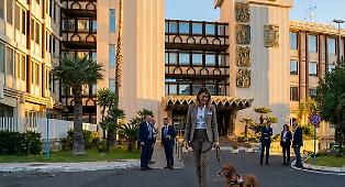 Cani e gatti alla scrivania: a Catania l'ufficio diventa "pet-friendly"
