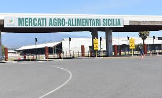 Maas di Catania, c'&egrave; il pianto di risanamento: l'operazione che consentir&agrave; di pagare 13 milioni di debiti