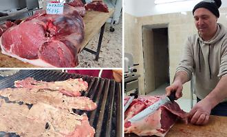 Cavalli animali d&rsquo;affezione, addio alla carne? La proposta di legge "allarma" Catania