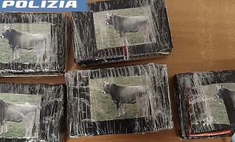 Auto rubata vicino allo stadio Massimino con 5 kg di cocaina confezionati con la foto di bovino