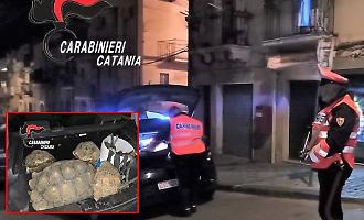 Attrezzi da scasso e quattro tartarughe protette in un'auto: denunciati due uomini