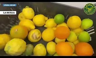 Alimenti non tracciati, lavoratori irregolari e laboratori sporchi: multa e sequestri in un bar a Catania