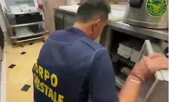 Controlli in un chiosco-panineria della Scogliera di Catania: sequestrati e distrutti 15 chili di carne non idonei al consumo