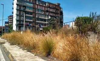 Catania tra nuova allerta caldo, terreni abbandonati e piromani