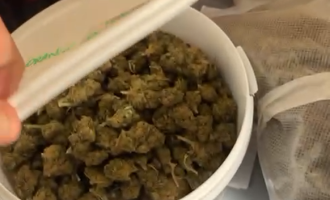 Smascherato il pusher 2.0: 3,5 kg di marijuana nel box comprata online nei Paesi Bassi