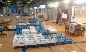 Viaggio al Maas di Catania, ortofrutta e pesce fresco ai privati: esperimento che piace ma con riserva