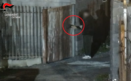 Operazione "Game Over": scarcerato un indagato, &laquo;Lavora onestamente in Germania&raquo;