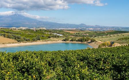 L'agricoltura in Sicilia che si sostiene grazie ai "laghetti aziendali". &laquo;Opere fondamentali, fin dagli anni '90&raquo;