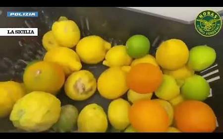 Alimenti non tracciati, lavoratori irregolari e laboratori sporchi: multa e sequestri in un bar a Catania