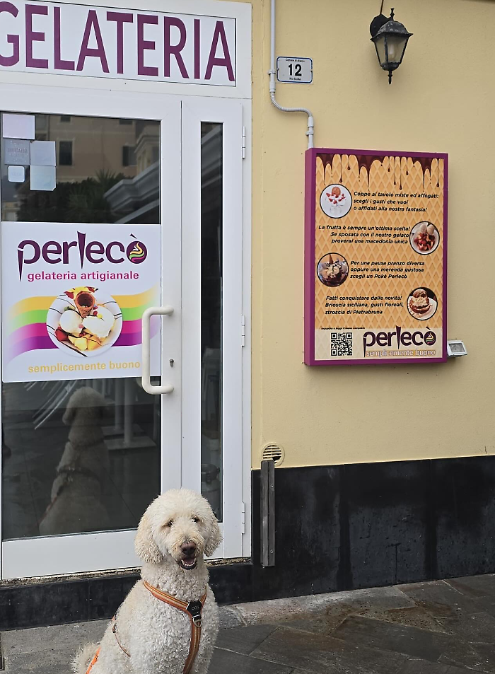 La trovata di una gelateria ligure per i cani che adesso potranno mangiare il gelato