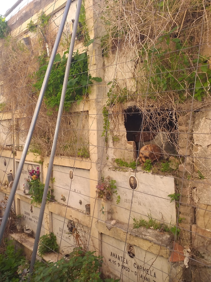 Degrado al Cimitero di Patern&ograve;