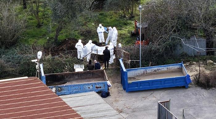 Anguillara, il canneto che ha tradito il silenzio: la possibile svolta nel caso di Federica Torzullo